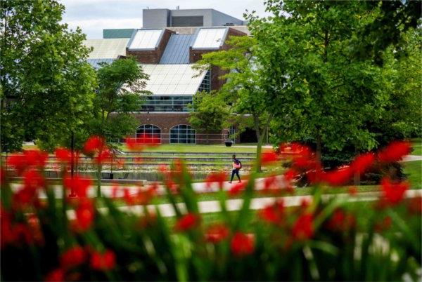  A person walks among red flowers on a college campus.